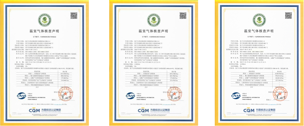 揚子江藥業(yè)集團四川海蓉藥業(yè)有限公司2021年-2024年碳排放核查數據公示